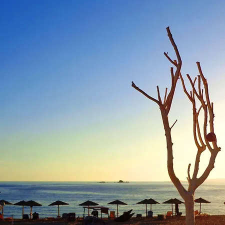 Blue Harmony דירה