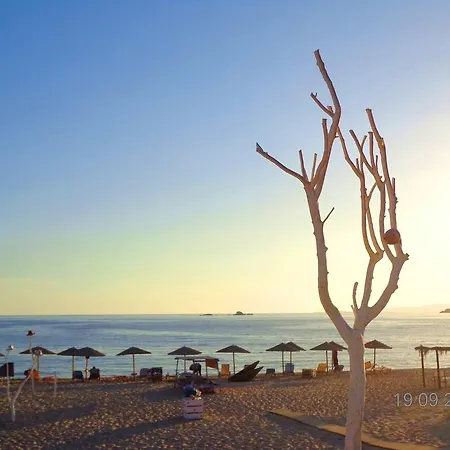 Blue Harmony דירה *