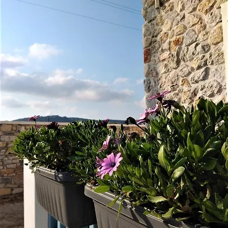 Blue Harmony דירה