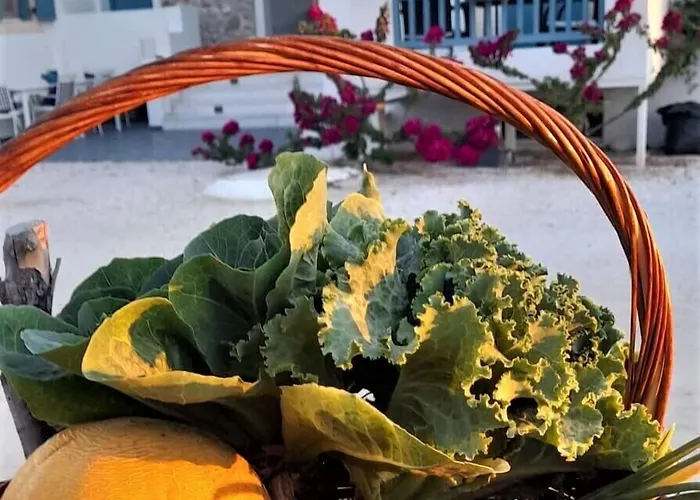 Blue Harmony דירה *