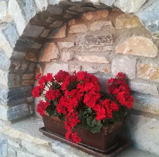 Blue Harmony דירה *