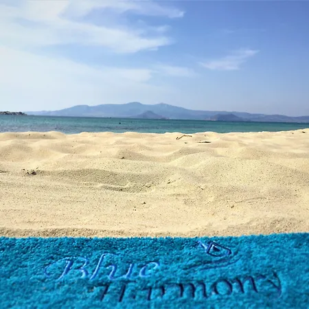 Apartamento Blue Harmony