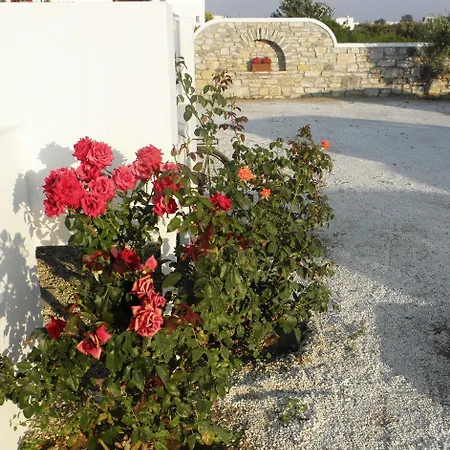 Blue Harmony Apartamento