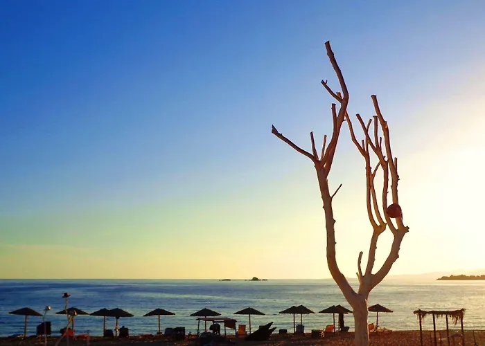 Blue Harmony Apartment