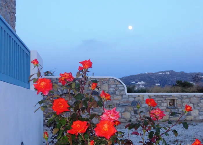 Blue Harmony Plaka (Naxos)