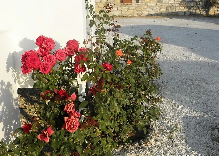 Blue Harmony Apartment