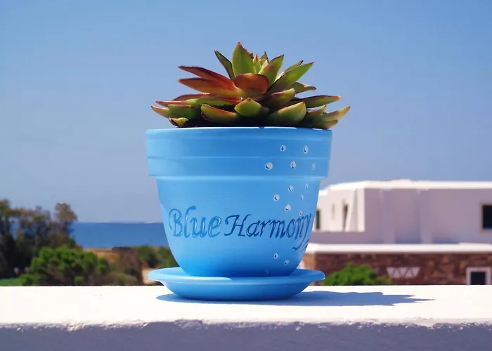 Apartment Blue Harmony
