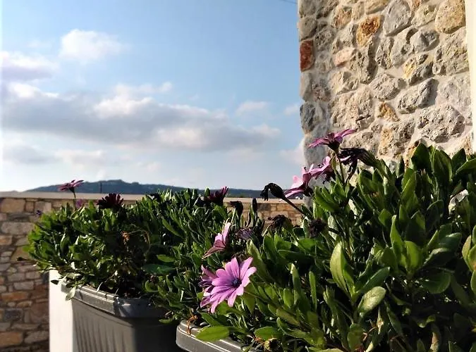 Blue Harmony Apartment